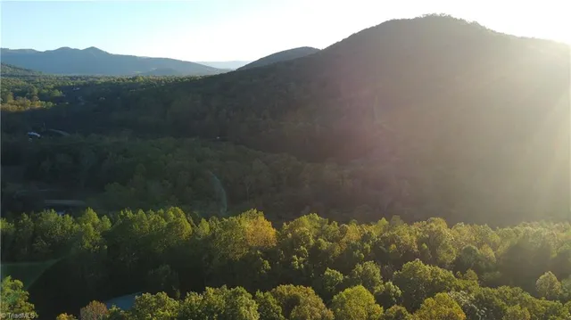 $32,500 | Tbd Fisher Peak Trail, Lowgap, NC 27024