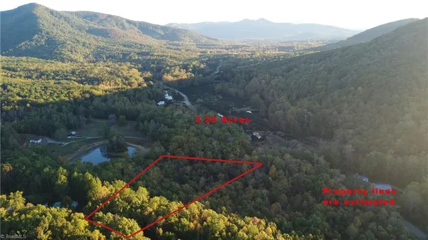 $29,900 | Tbd Fisher Peak Trail, Lowgap, NC 27024