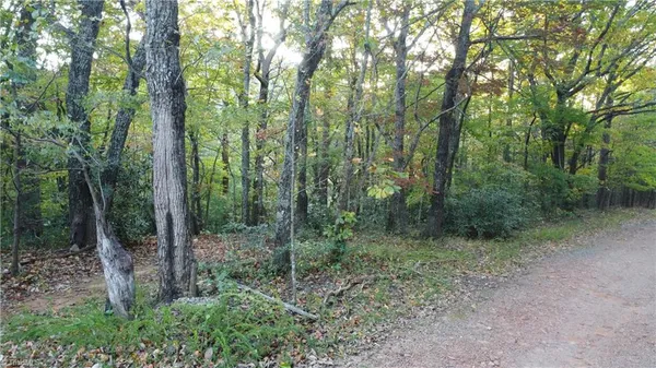 $32,500 | Tbd Fisher Peak Trail, Lowgap, NC 27024