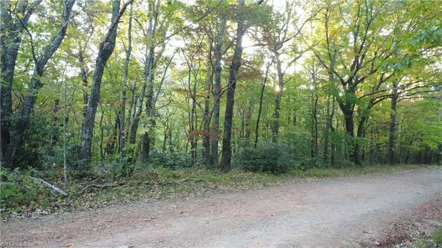 $32,500 | Tbd Fisher Peak Trail, Lowgap, NC 27024