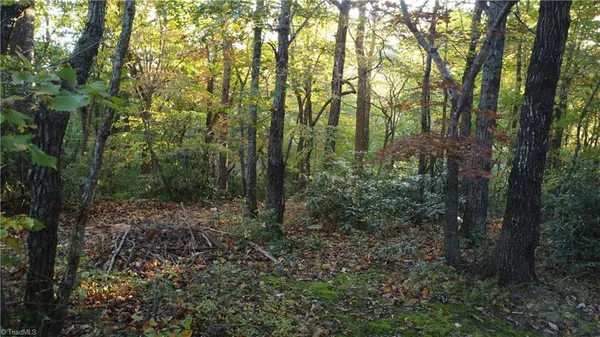 $29,900 | Tbd Fisher Peak Trail, Lowgap, NC 27024