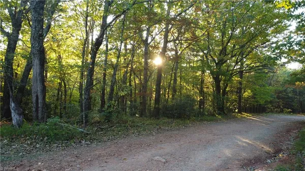 $29,900 | Tbd Fisher Peak Trail, Lowgap, NC 27024