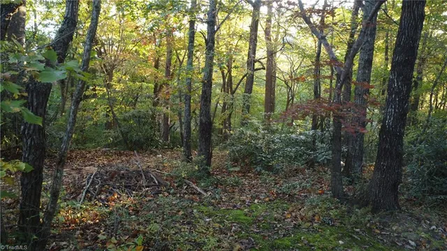 $32,500 | Tbd Fisher Peak Trail, Lowgap, NC 27024