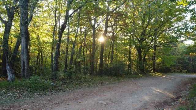 $32,500 | Tbd Fisher Peak Trail, Lowgap, NC 27024