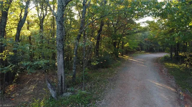 $32,500 | Tbd Fisher Peak Trail, Lowgap, NC 27024