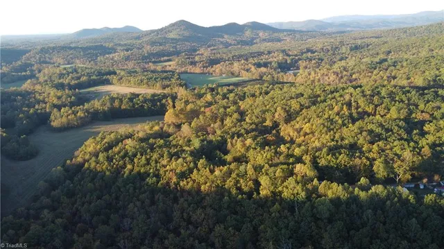 $32,500 | Tbd Fisher Peak Trail, Lowgap, NC 27024