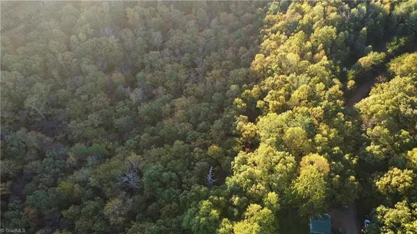 $32,500 | Tbd Fisher Peak Trail, Lowgap, NC 27024