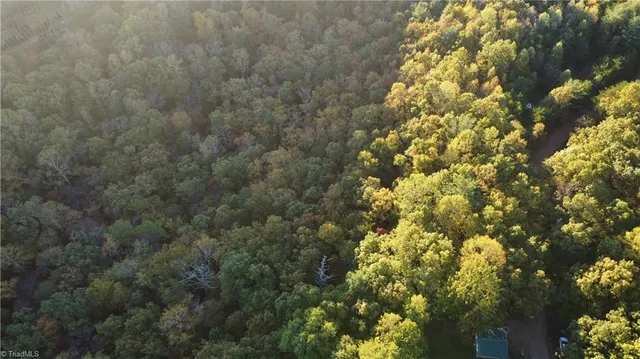 $32,500 | Tbd Fisher Peak Trail, Lowgap, NC 27024