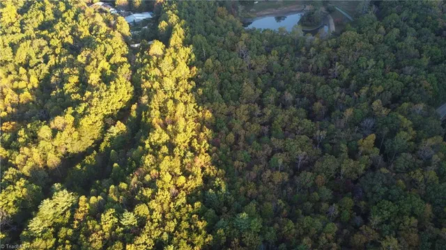 $32,500 | Tbd Fisher Peak Trail, Lowgap, NC 27024