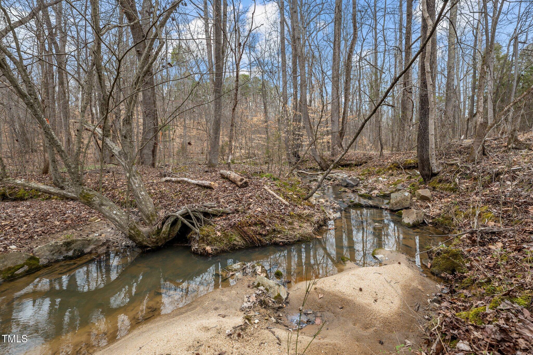 8717 Allison Road Cedar Grove, NC 27231 - Photo 43 of 86 36-web-or-mls-_1190476