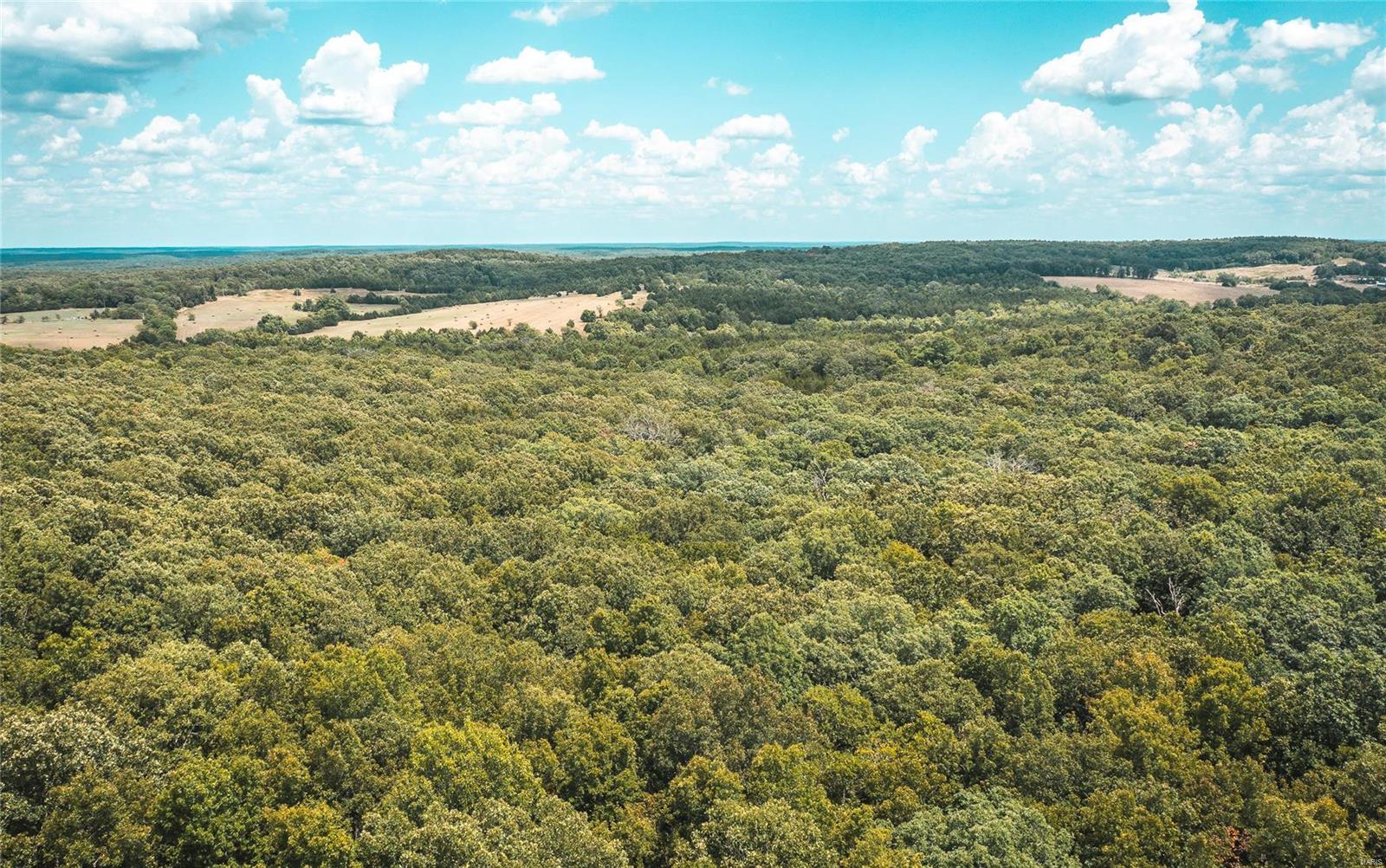 37278 Willow Road Plato, MO 65552 - Photo 12 of 13