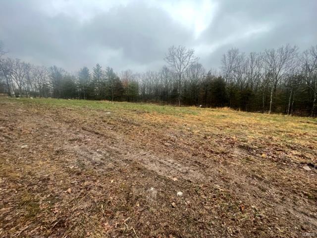 37278 Willow Road Plato, MO 65552 - Photo 10 of 13