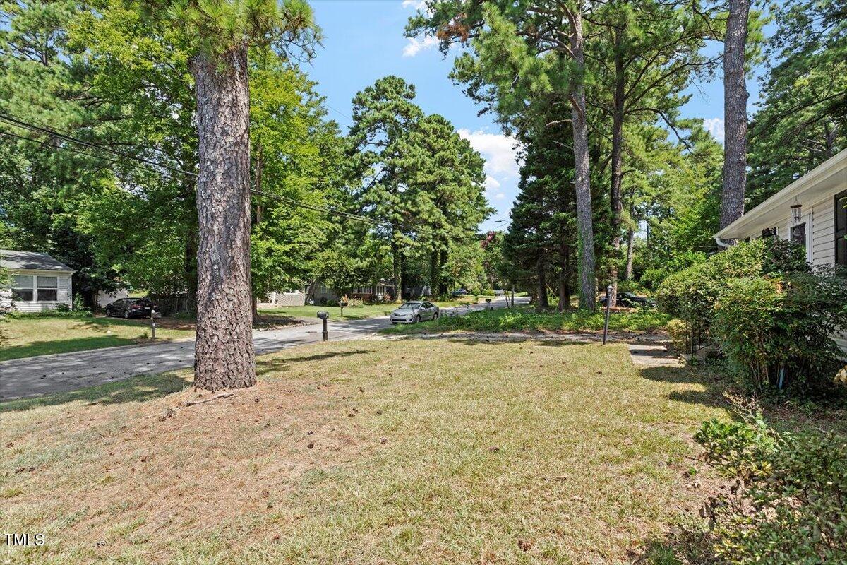 1621 Seminole Trail Raleigh, NC 27609 - Photo 23 of 25 a view of a tree in the middle of a yard