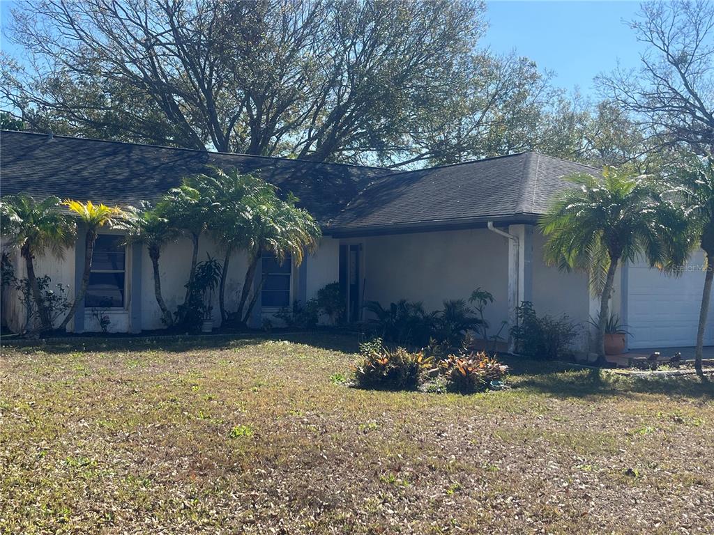 6601 Ranger Drive Tampa, FL 33615 - Photo 1 of 1 a house with a tree in front of it