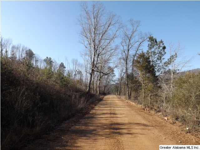 286 County Road, Unit 85 Collinsville, AL 35961 - Photo 18 of 23