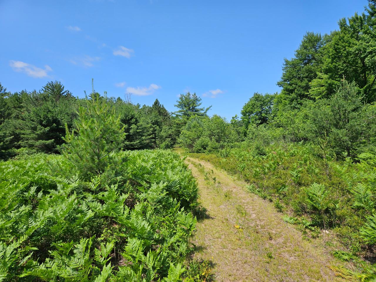 Off Hunter Haven Road Rhinelander, WI 54501 - Photo 13 of 13 Gallery Image 13