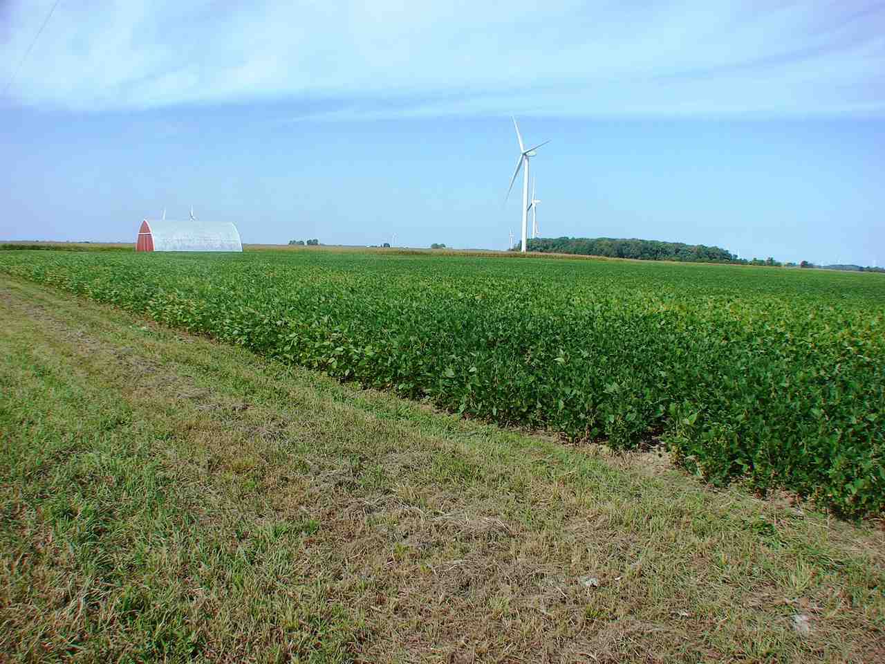 Tbd East Tbd E Washington Road Ithaca, MI 48847 - Photo 7 of 13 1867678-6.JPG