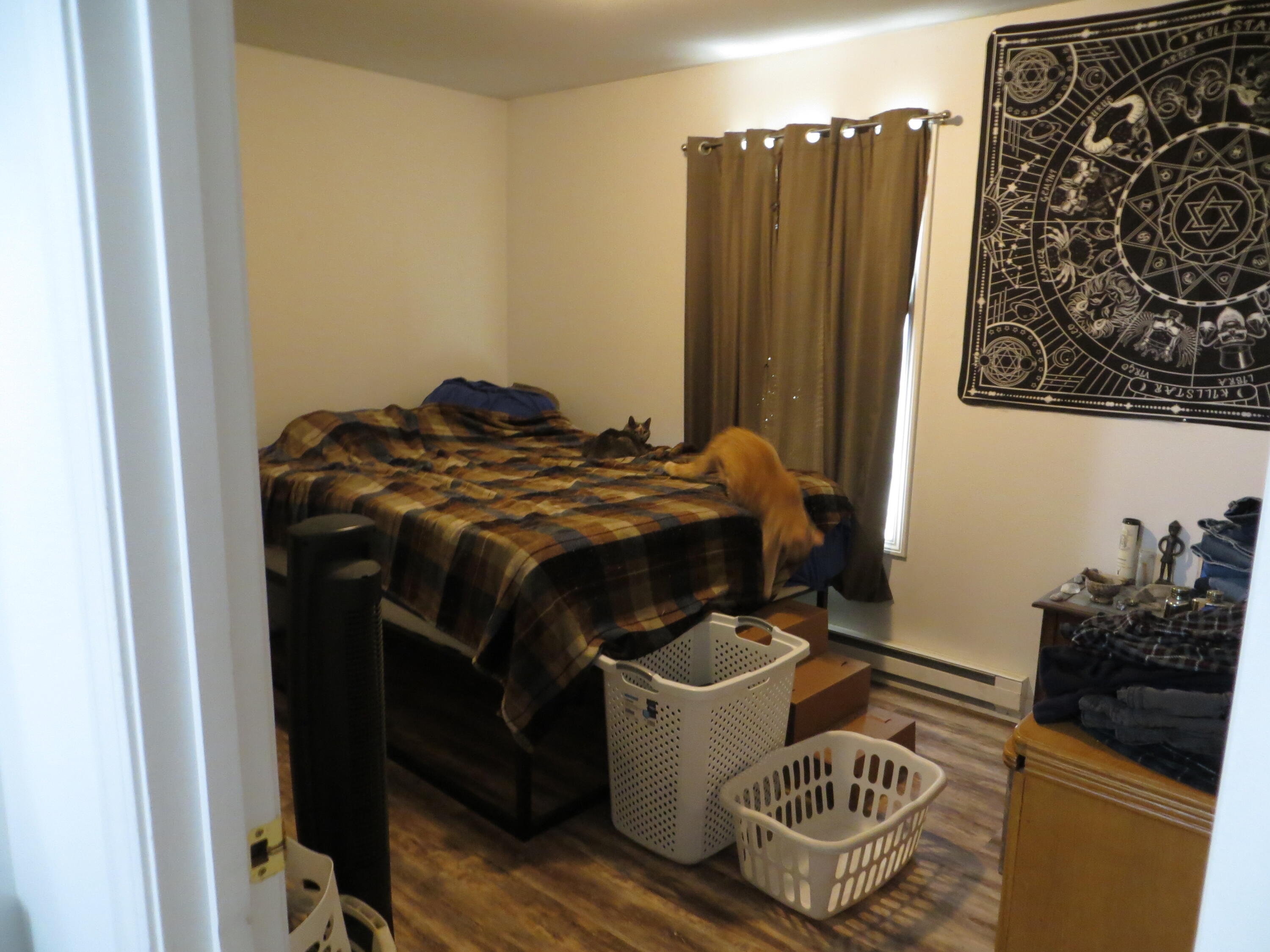 136 Hodgdon Road Levant, ME 04456 - Photo 23 of 39 IMG_0533