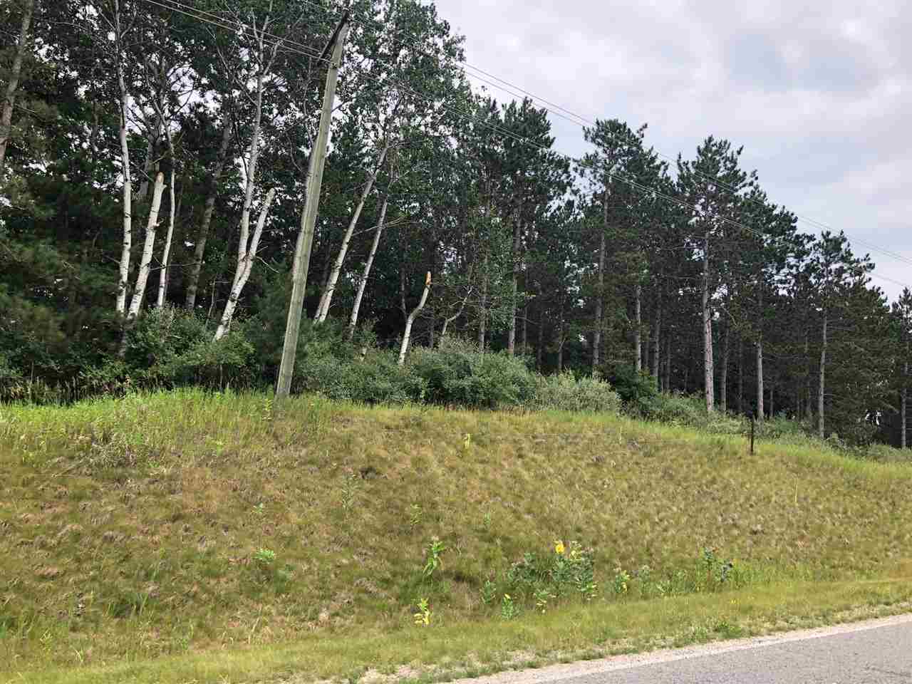 A-b South Rolland Road Weidman, MI 48893 - Photo 4 of 5