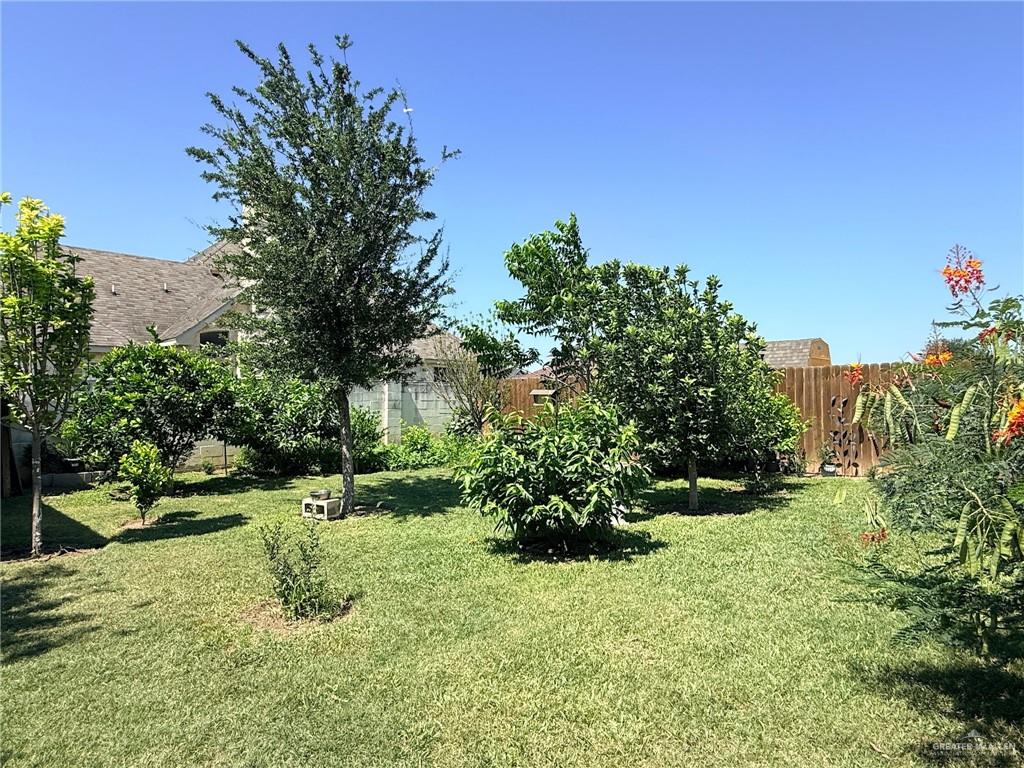 423 Blue Sky Street Rio Grande City, TX 78582 - Photo 18 of 19