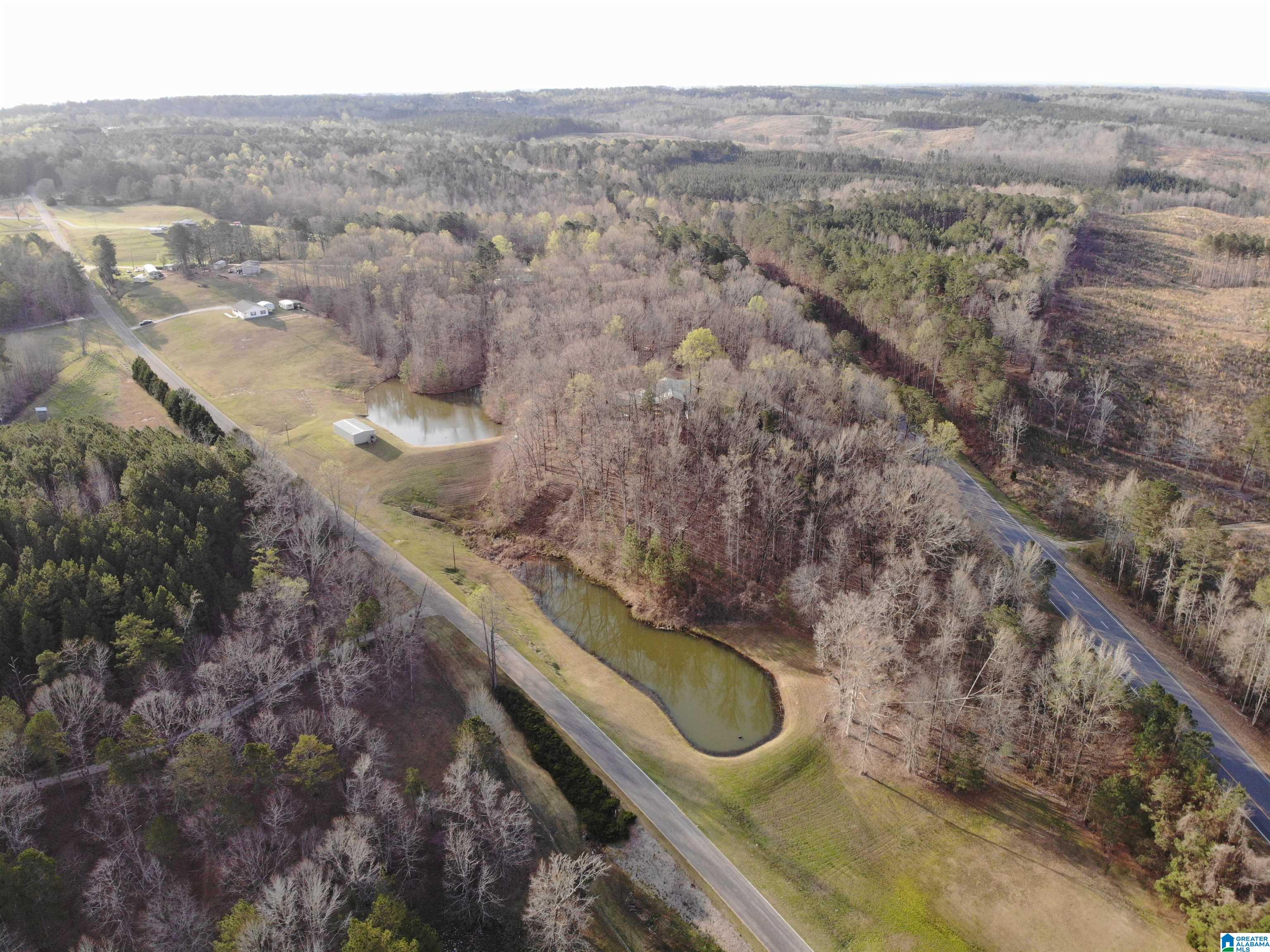 61 County Road, Unit 5 21 Roanoke, AL 36274 - Photo 4 of 9