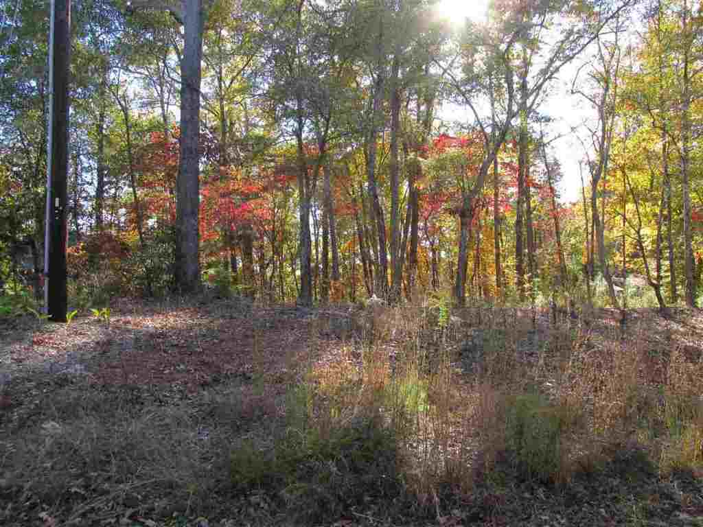Lot D Franklin Road, Unit JUST PASS 110 Anderson, SC 29625 - Photo 11 of 11 Gallery Image 11