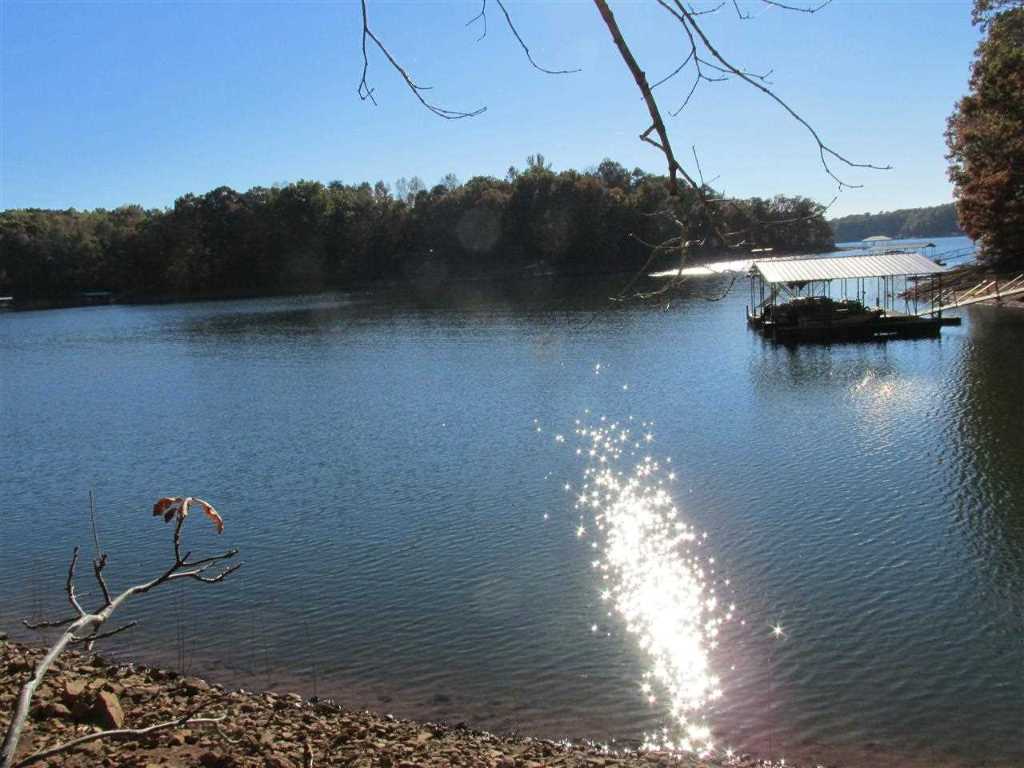 Lot D Franklin Road, Unit JUST PASS 110 Anderson, SC 29625 - Photo 3 of 11 Gallery Image 3