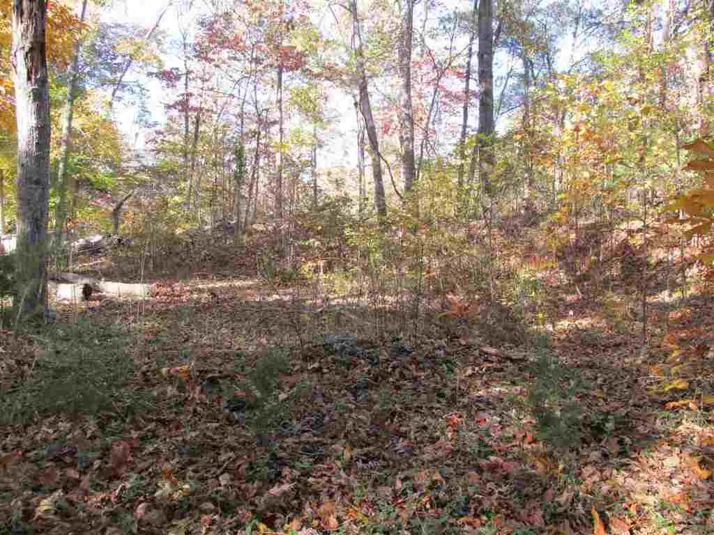 Lot D Franklin Road, Unit JUST PASS 110 Anderson, SC 29625 - Photo 4 of 11 Gallery Image 4