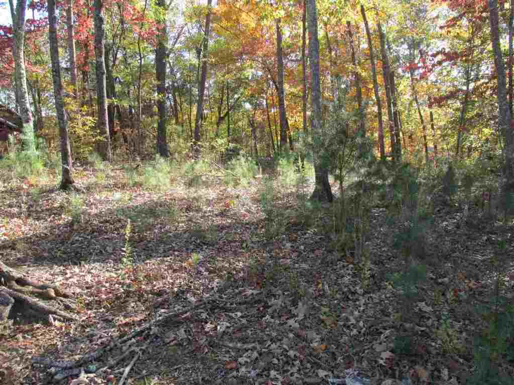 Lot D Franklin Road, Unit JUST PASS 110 Anderson, SC 29625 - Photo 5 of 11 Gallery Image 5