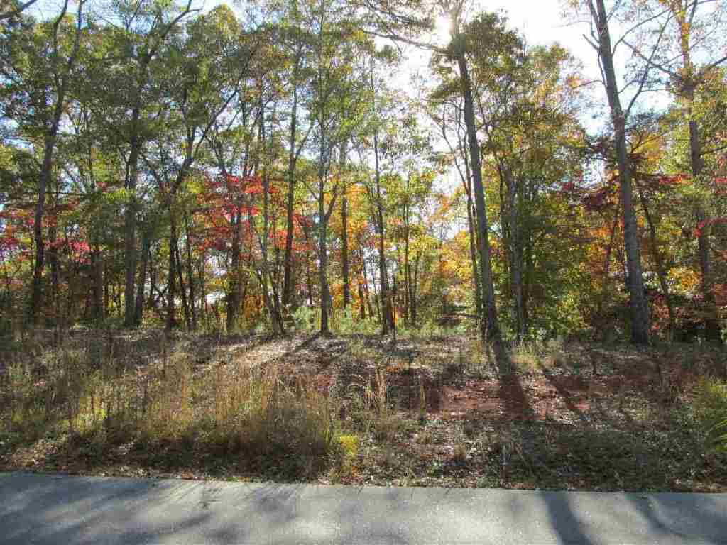 Lot D Franklin Road, Unit JUST PASS 110 Anderson, SC 29625 - Photo 6 of 11 Gallery Image 6