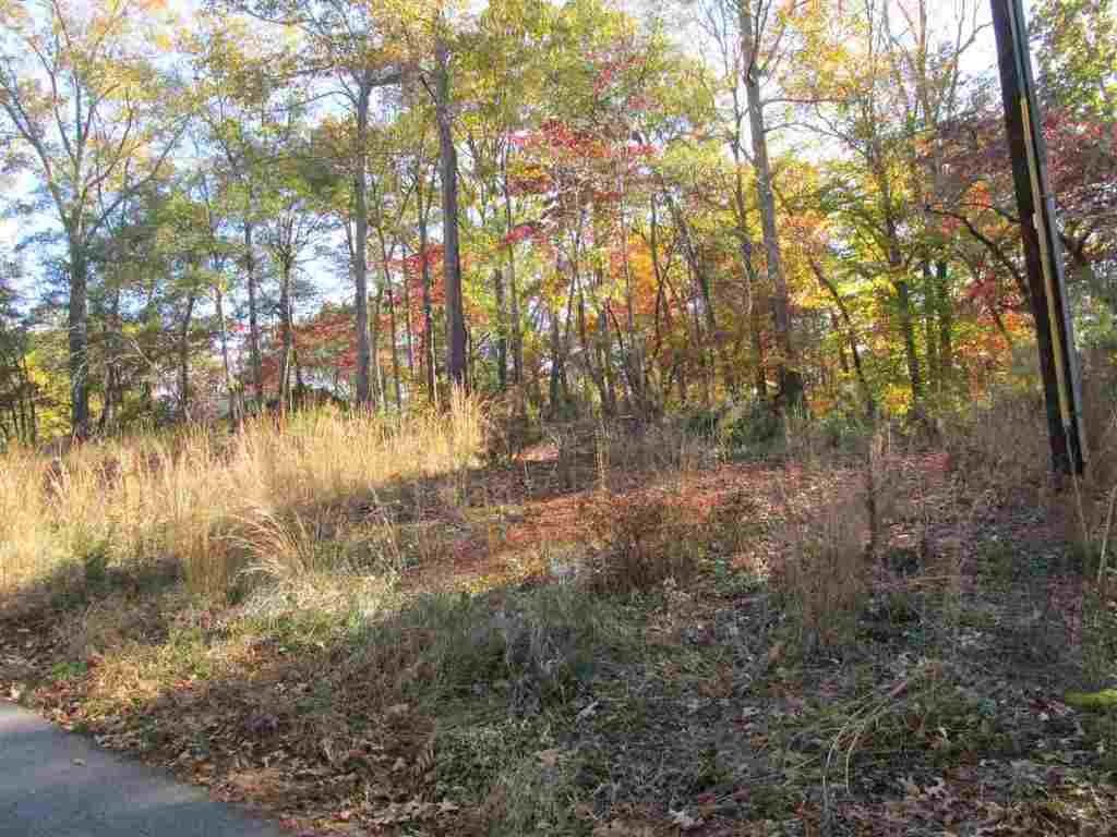 Lot D Franklin Road, Unit JUST PASS 110 Anderson, SC 29625 - Photo 7 of 11 Gallery Image 7