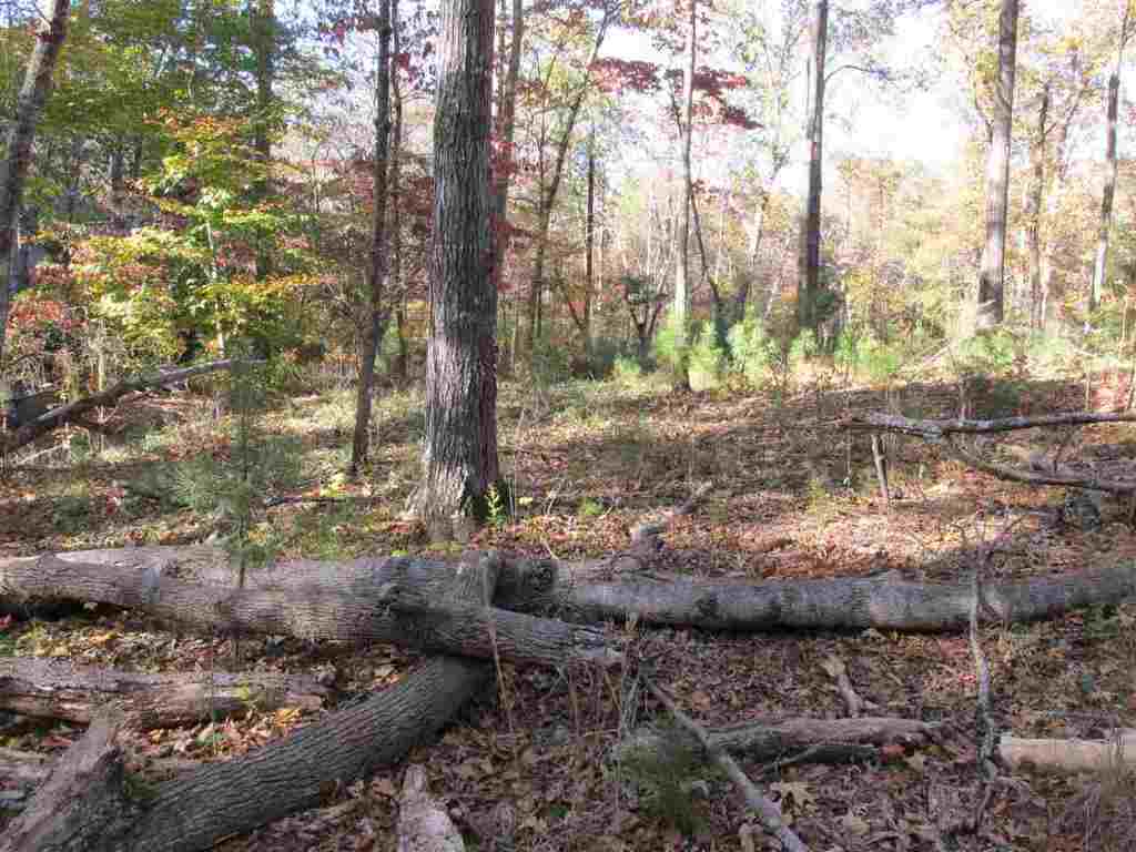 Lot D Franklin Road, Unit JUST PASS 110 Anderson, SC 29625 - Photo 8 of 11 Gallery Image 8