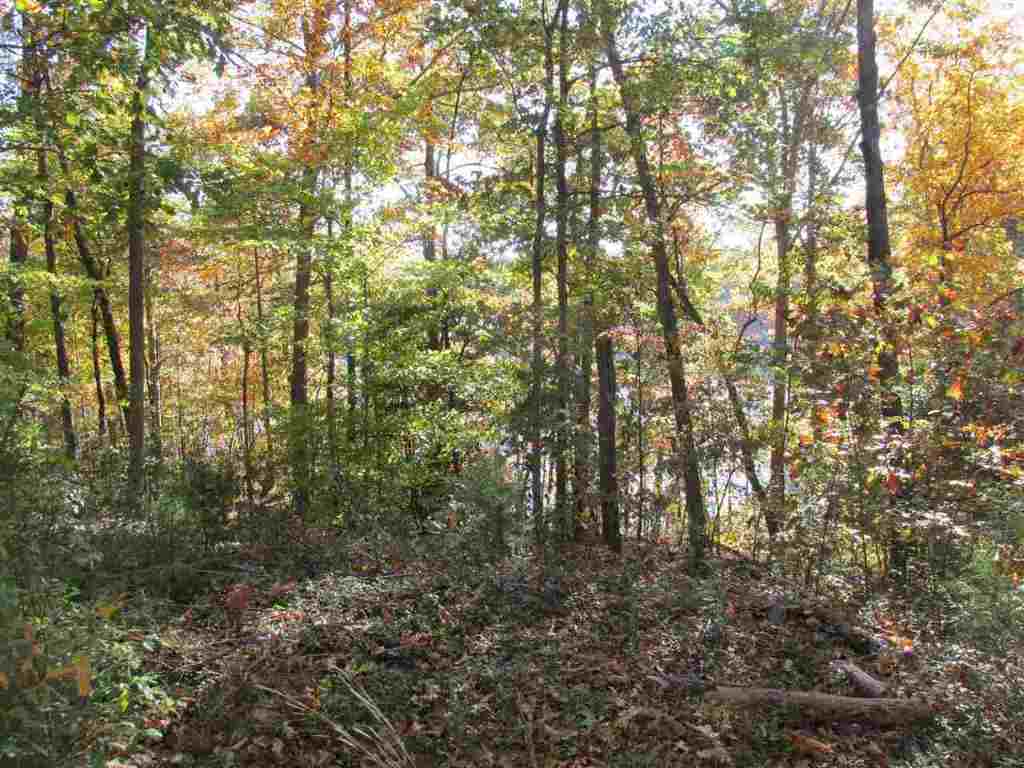 Lot D Franklin Road, Unit JUST PASS 110 Anderson, SC 29625 - Photo 9 of 11 Gallery Image 9
