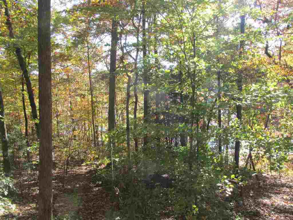 Lot D Franklin Road, Unit JUST PASS 110 Anderson, SC 29625 - Photo 10 of 11 Gallery Image 10