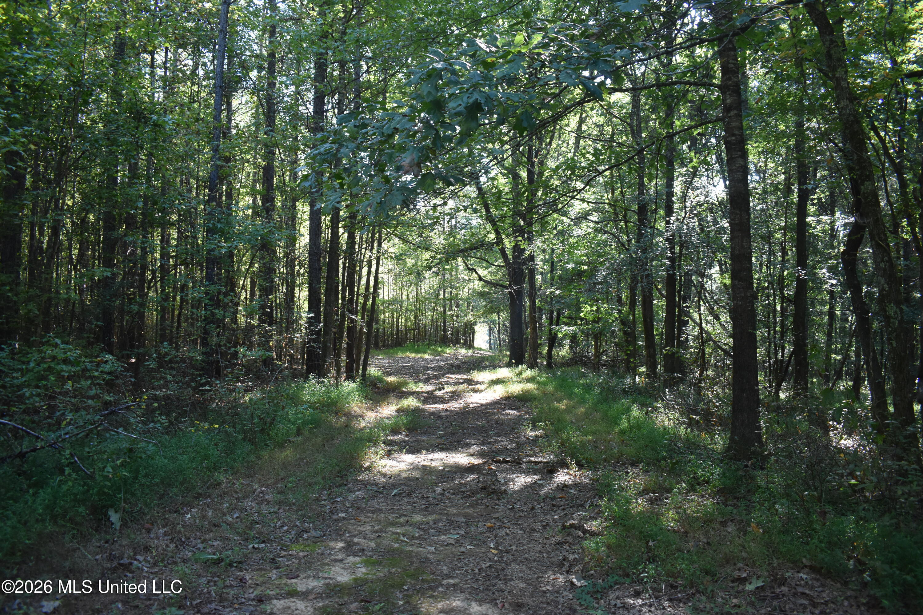 390 Old Panola Road Como, MS 38619 - Photo 28 of 71 DSC_0165