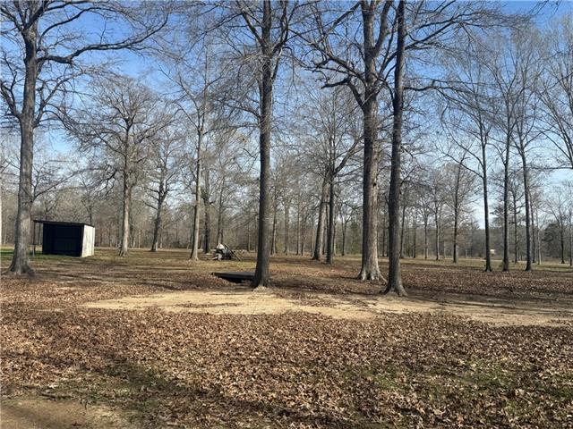 195 Varvarosky Road Deville, LA 71328 - Photo 10 of 21