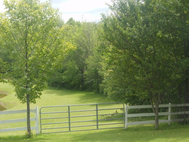 3735 Stillwagon Road West Branch, MI 48661 - Photo 12 of 26 1802226-11.JPG
