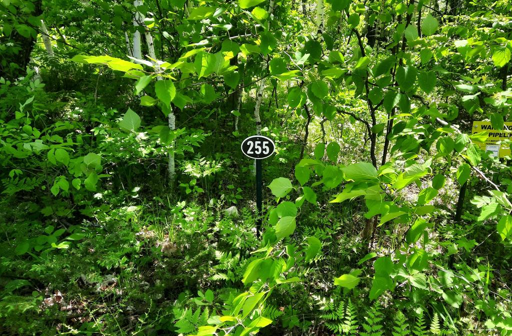 4286 Harbor School Road Egg Harbor, WI 54209 - Photo 2 of 6