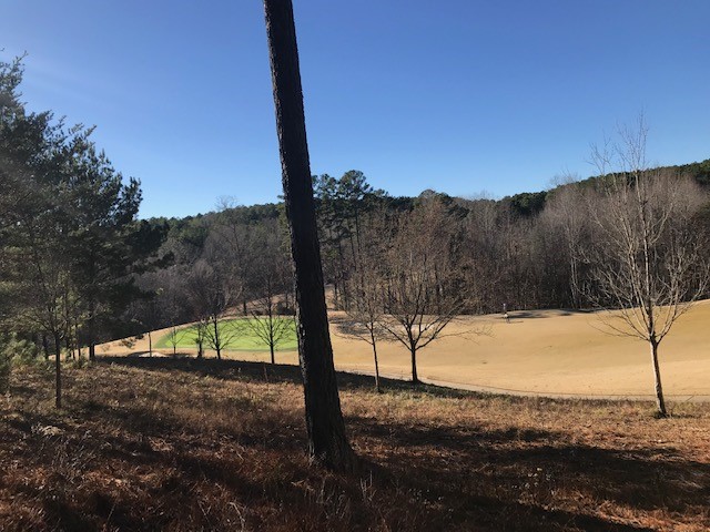 210 Long Ridge Road Sunset, SC 29685 - Photo 2 of 18