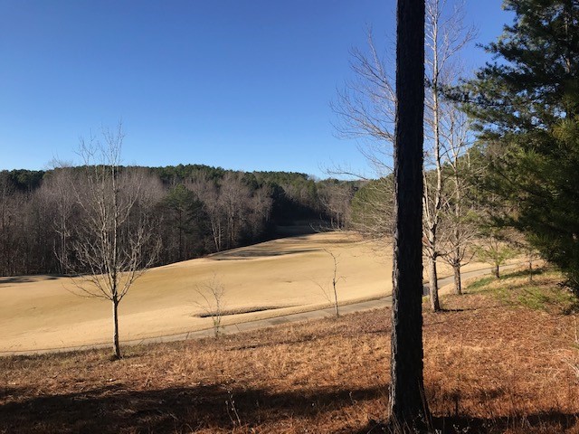 210 Long Ridge Road Sunset, SC 29685 - Photo 3 of 18