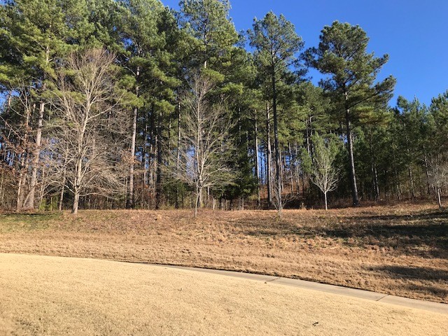 210 Long Ridge Road Sunset, SC 29685 - Photo 5 of 18