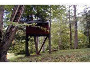 138 Perch Pond Road Campton, NH 03223 - Photo 2 of 5