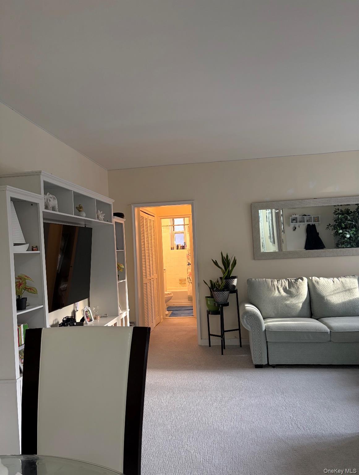 210 Pelham Road, Unit 5L New Rochelle, NY 10805 - Photo 17 of 18 Gallery Image 17