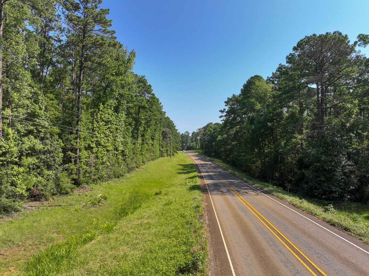 3 Highway 87 South Milam, TX 75959 - Photo 2 of 10 a view of a yard with plants and a trees