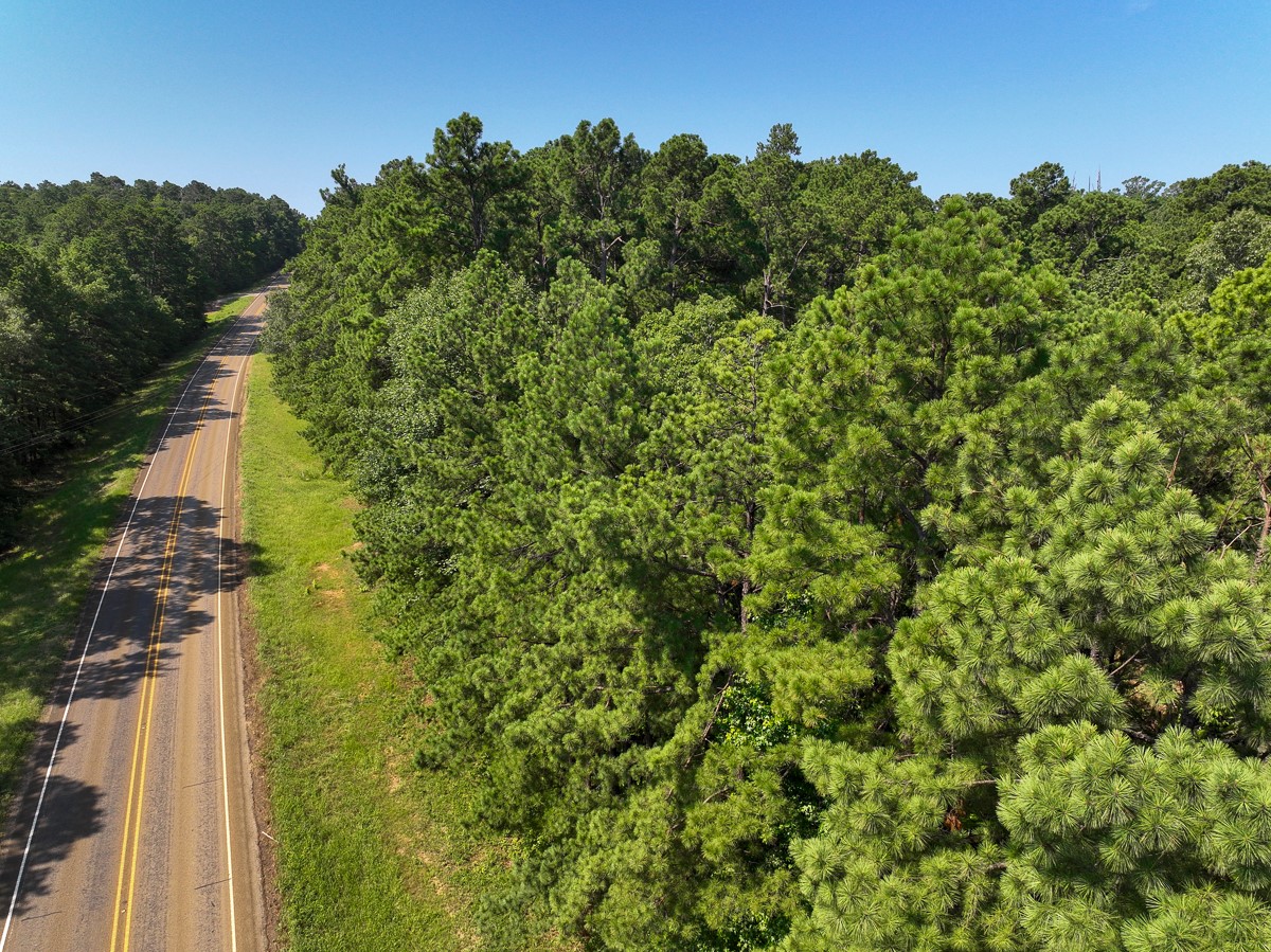 3 Highway 87 South Milam, TX 75959 - Photo 6 of 10 a view of a yard