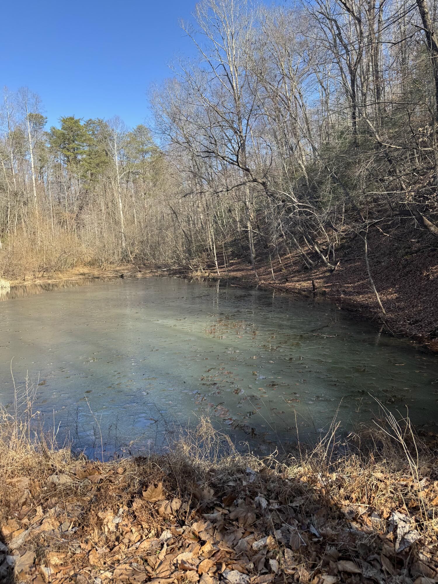 Tract A Truevine Road Glade Hill, VA 24092 - Photo 1 of 3 Pond