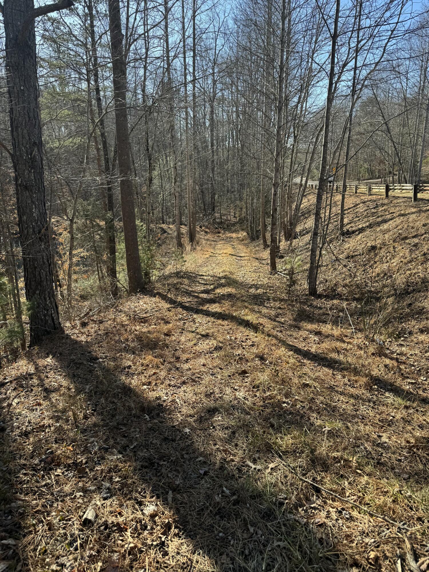 Tract A Truevine Road Glade Hill, VA 24092 - Photo 2 of 3 BMT4
