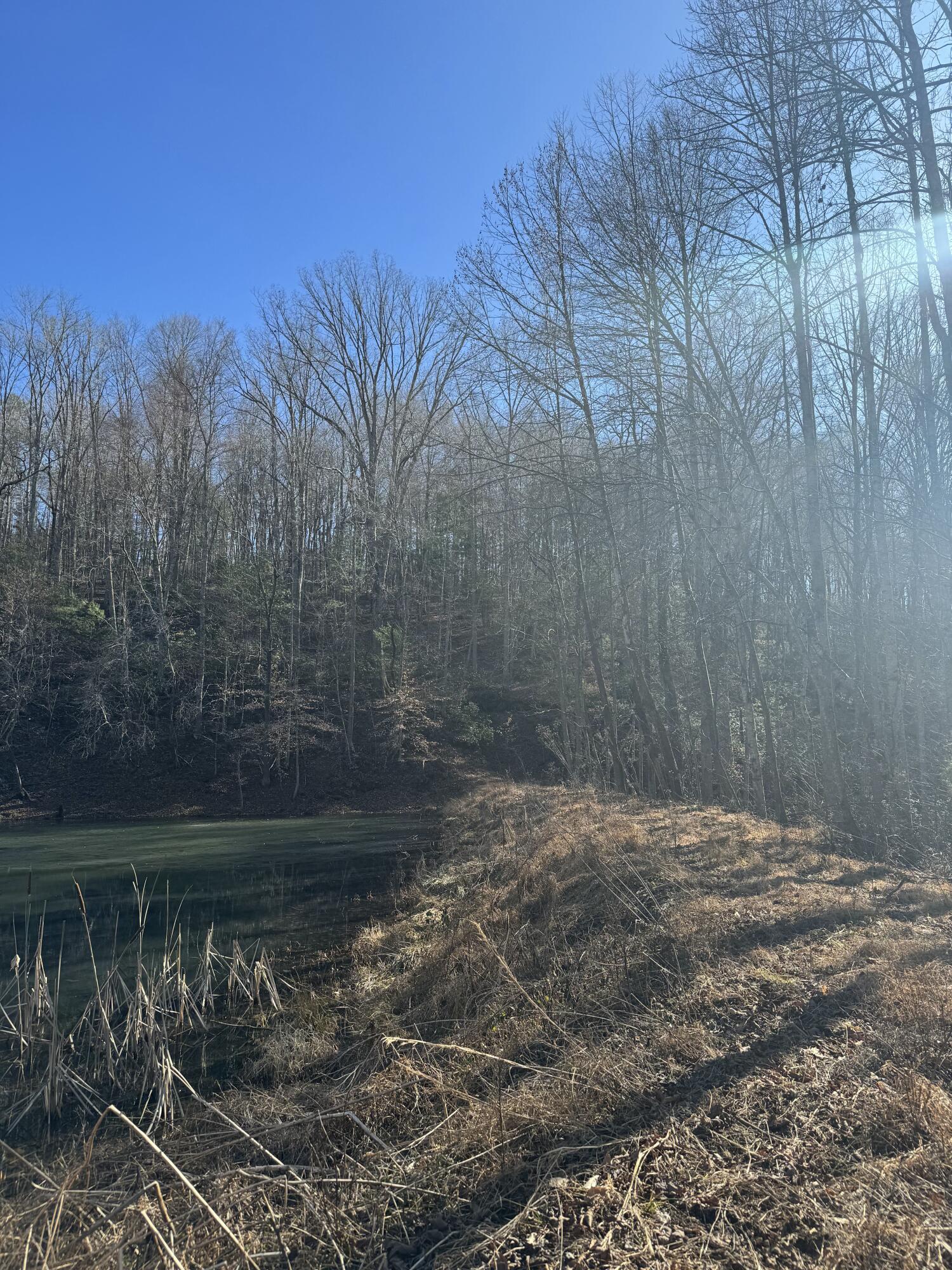 Tract A Truevine Road Glade Hill, VA 24092 - Photo 3 of 3 BMT2