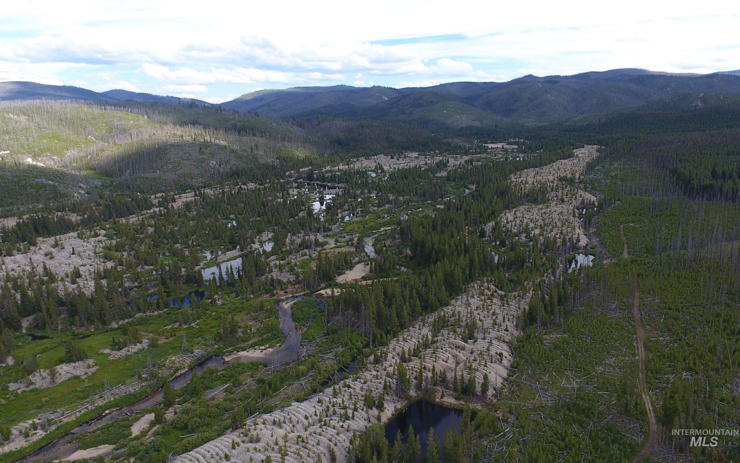 0 Warren Creek Road McCall, ID 83638 - Photo 3 of 8