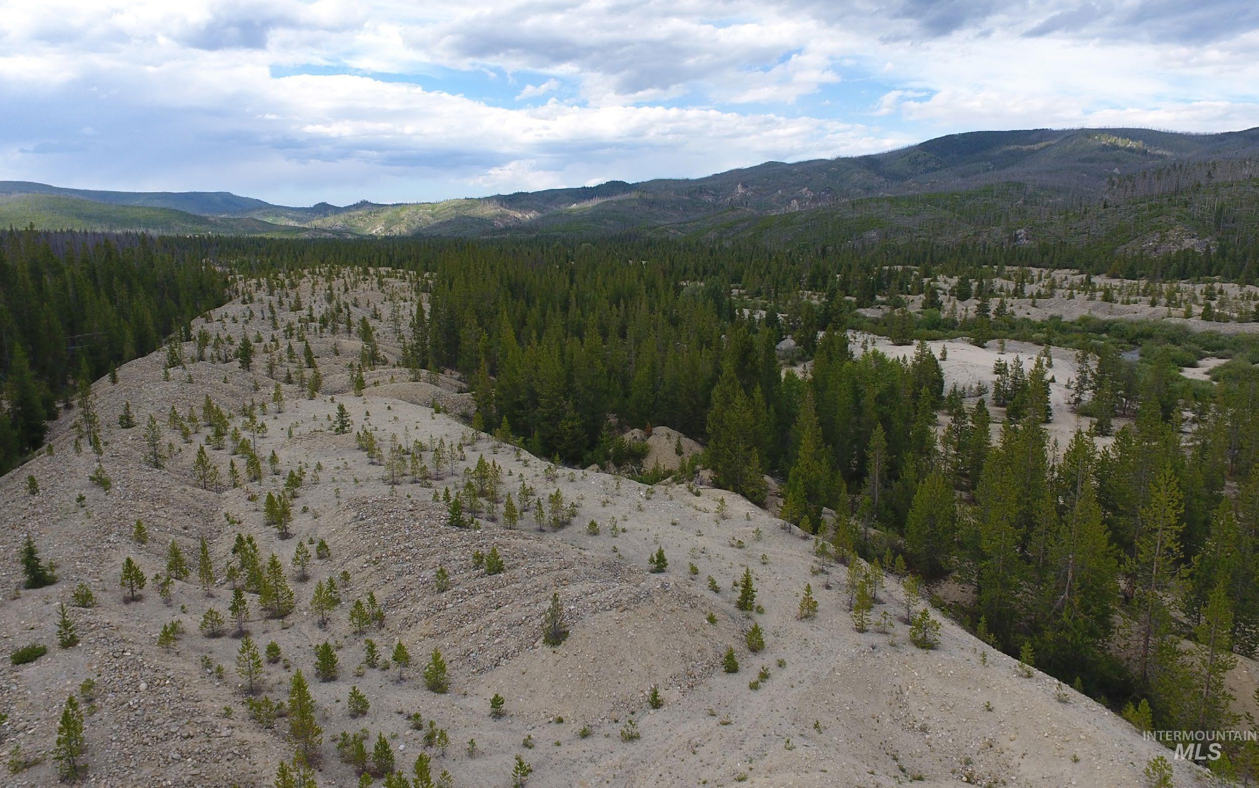 0 Warren Creek Road McCall, ID 83638 - Photo 4 of 8